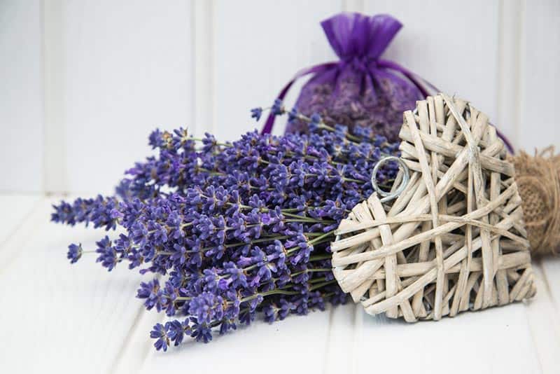 Decoración con lavanda