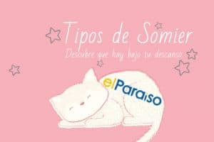 Banner Tipos de Somier | Muebles El Paraiso Bilbao