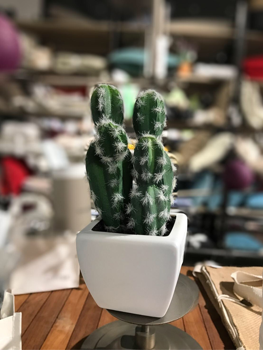 Regalo para bodas cactus decorativo